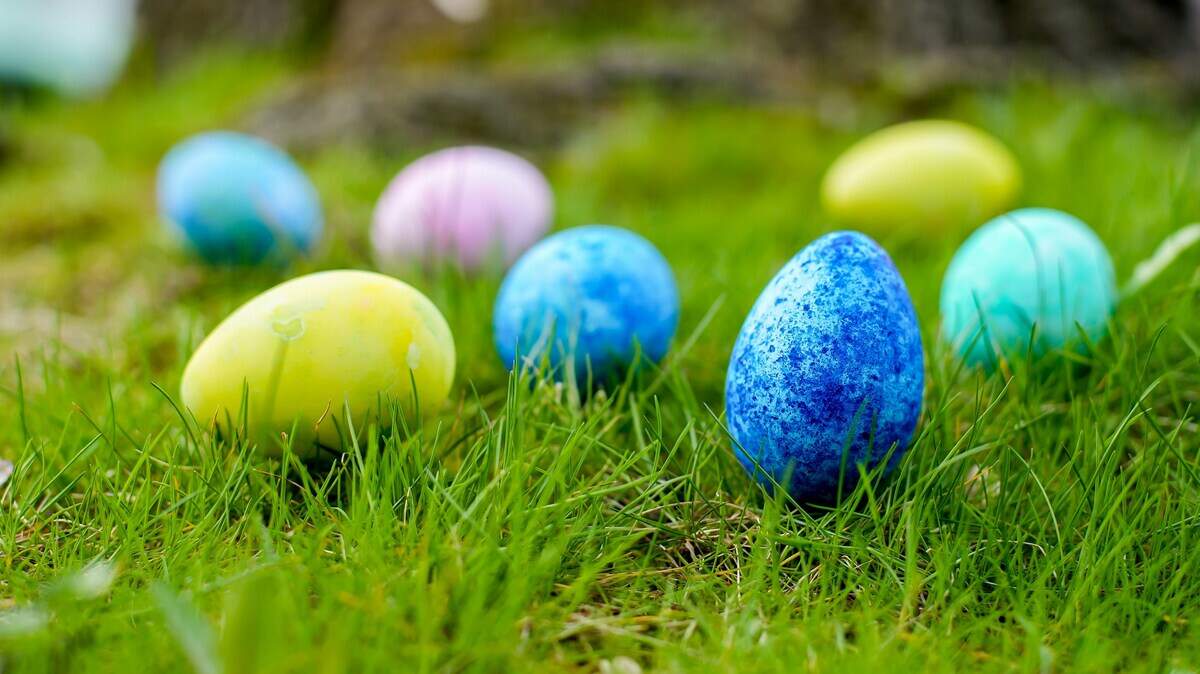Cool Church will host a massive Easter egg drop at Miramar High School on Saturday, April 4.