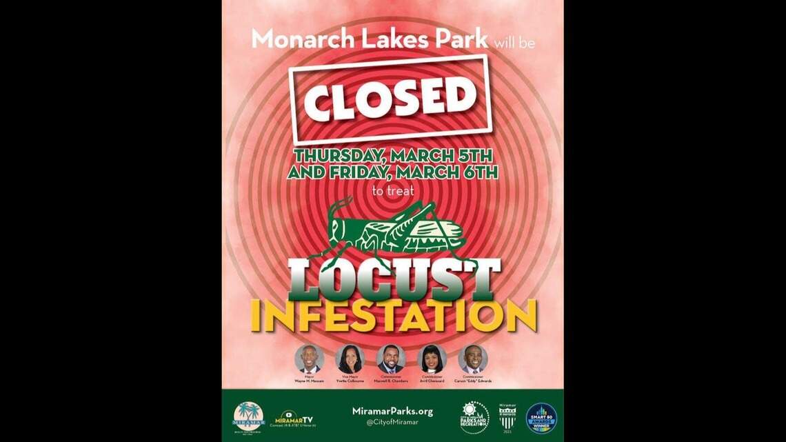 Locust infestation closes Miramar’s Monarch Lakes Park. Here’s what we know